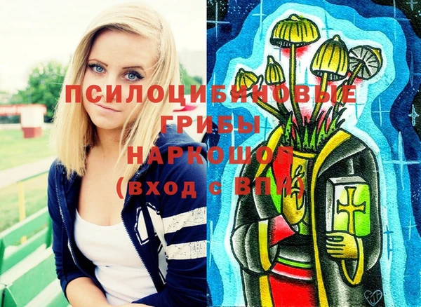 apvp Арсеньев