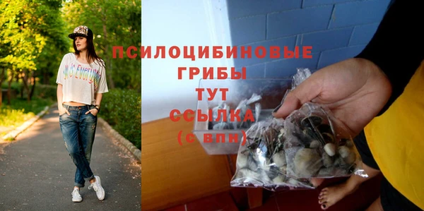 apvp Арсеньев